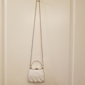 Sasha hard-sided silver purse